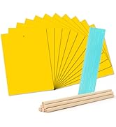 Landisun Fruit-Fly Sticky-Trap Outdoor Indoor Yellow Sticky Insect Traps Bug-Killer Catcher NonTo...