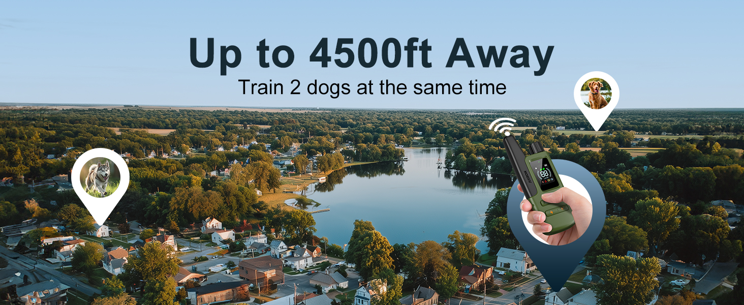 dog training collar with remote