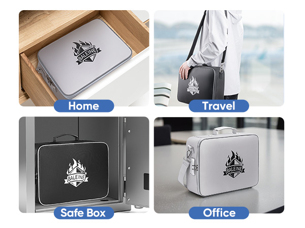 fireproof document bag