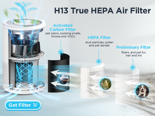 H13 True HEPA Air Purifiers