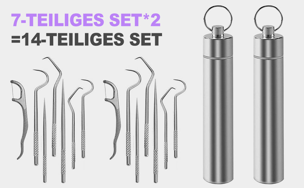 Stainless Steel Toothpick Set