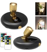 Wireless Spotlight Battery Powered Picture Light with Remote,Wall Painting Light Indoor Uplight B...