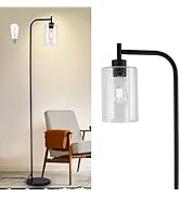 DLLT Floor Lamp Tall for Room: Black Standing Lamp with Seeded Glass Lampshade for Living Room - ...