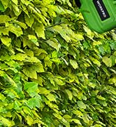 WORKPRO 20V Cordless Grass Shear &amp; Shrubbery Trimmer-2 in 1 Handheld Hedge Trimmer, Electric Gras...