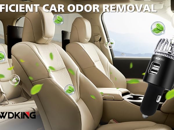 Ionic Ozone Car Deodorizer
