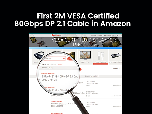 dp80 vesa certified 6.6ft