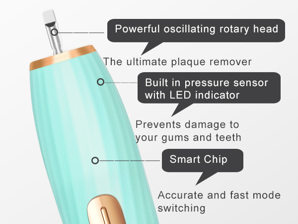 Rechargeable Toothbrush