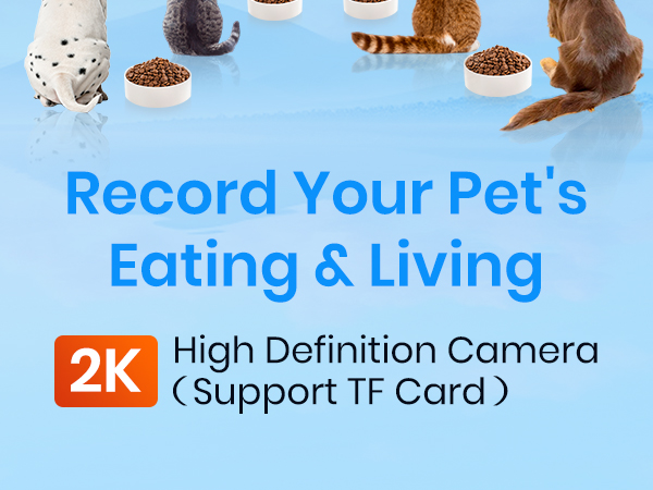 automatic cat feeder with camera