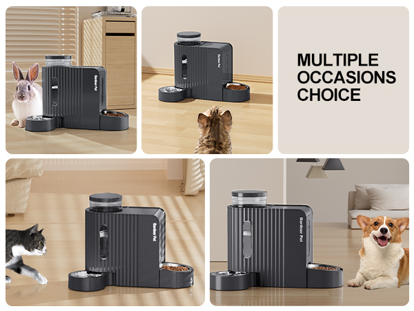 cat automatic feeder