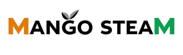 Mango Steam Brand Logo