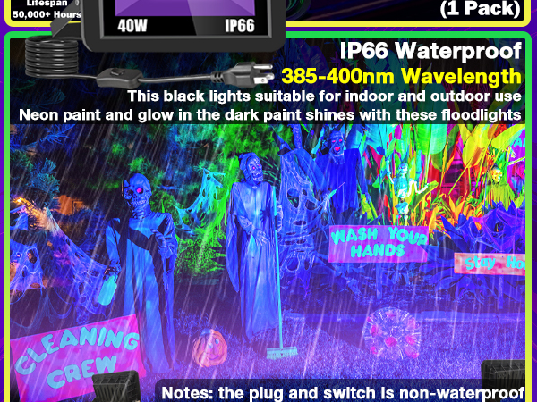 40W Black Light Floodlight