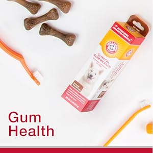 dog dental care puppy tooth brushing kit cat dental care dog toothpaste and brush dog tooth paste