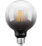 ONEWISH LED Light Bulb, G95 LED Globe Bulbs, Warm White 300LM 2700K 4W, 35W Equivalent, E26 Stand...