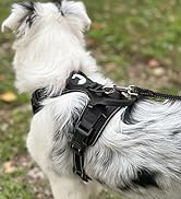 the [ unused0 ] harness is made from a durable nylon with a high quality nylon collar.