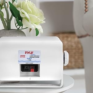 PLMR24