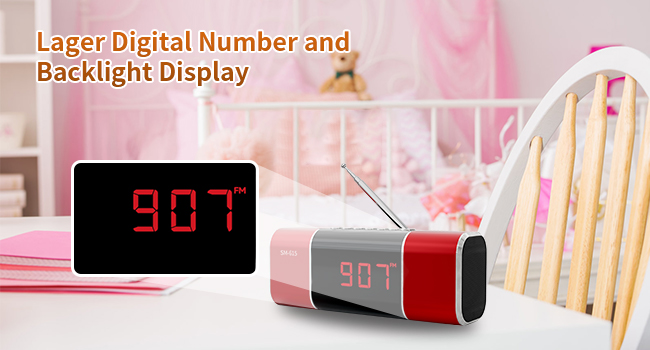 FM Radio Bluetooth Speaker