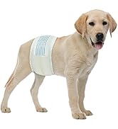 BV Male Dog Wraps, 50 Counts Dog Diapers for Male Dogs, Disposable Puppy Wraps (Medium, 50)