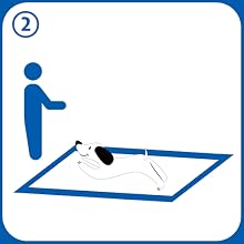 Training Pads for Dogs