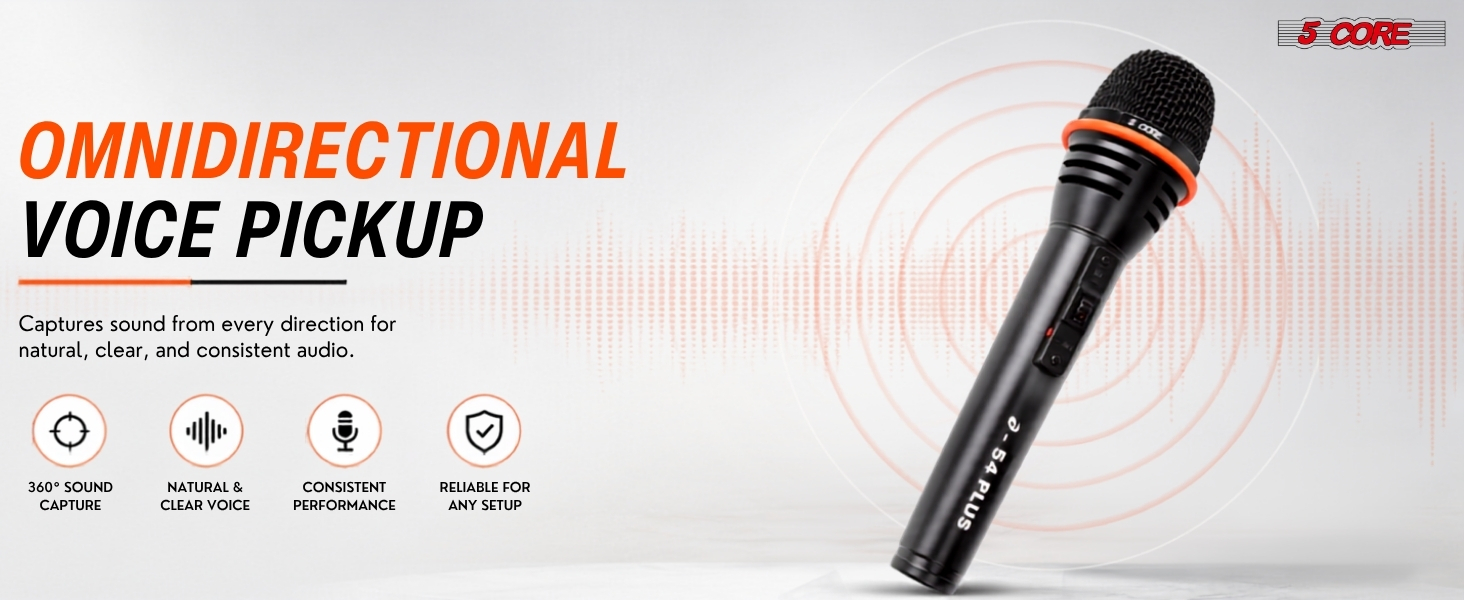 dynamic mic