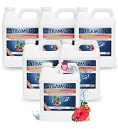 Steam &amp; Go Demineralized Water for Steam Cleaner, PVC-Free Floor Cleaner Liquid Compatible With A...