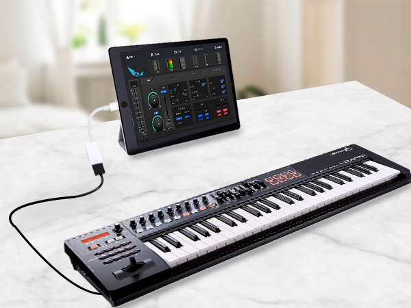 usb to iphone adapter