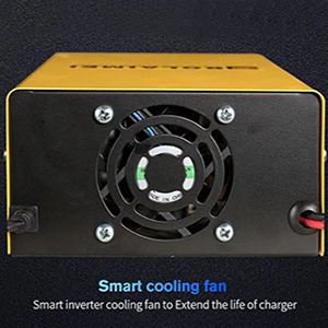 winter battery charger