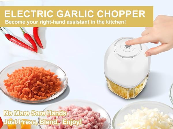 electric garlic chopper