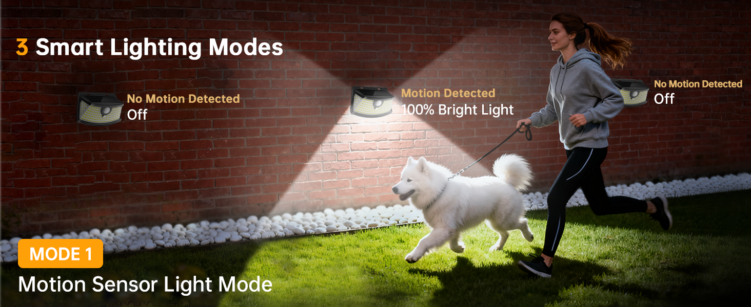 solar motion light