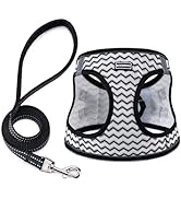 BOOMIBOO Dog Harness with Leash Set, No Pull Adjustable Reflective Step-in Puppy Pet Vest Harness...