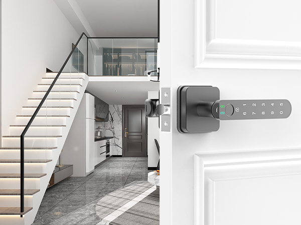 Apartment Door Handle Square