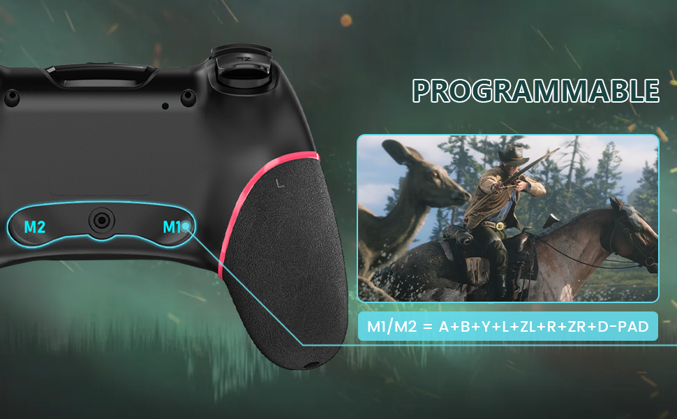 nintendo switch controller