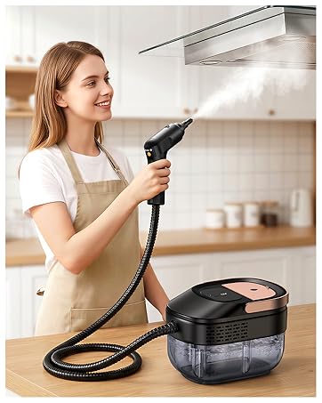 Steam cleaner