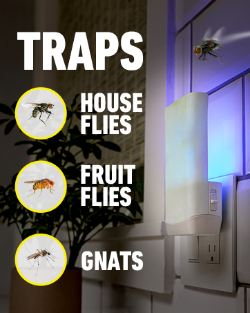 Ortho Flying Insect Trap