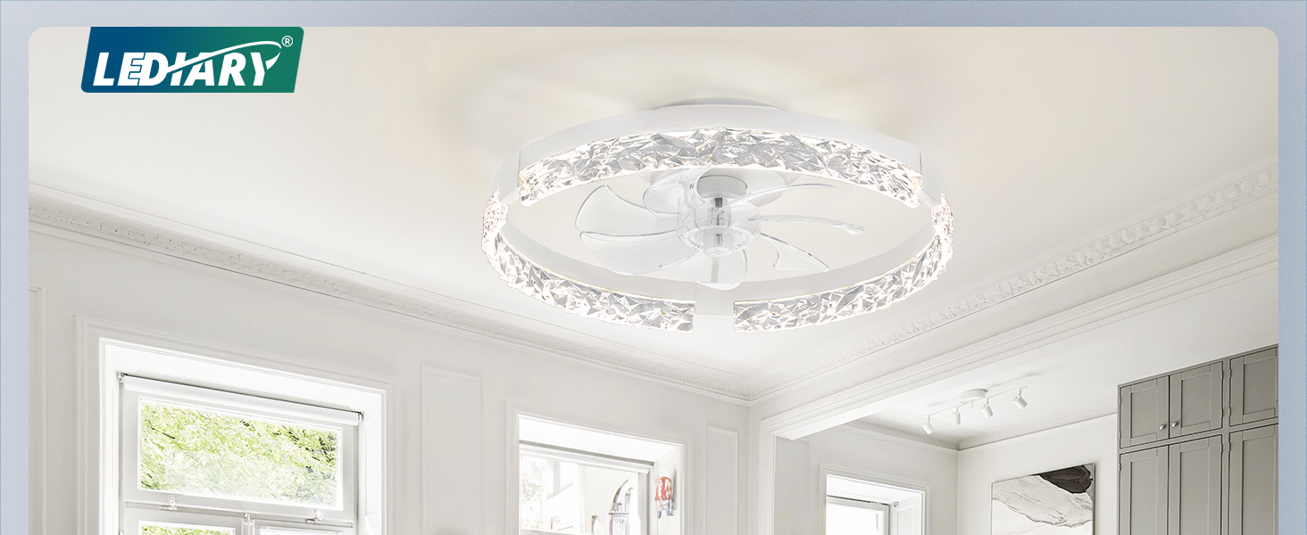 LEDIARY 20 inch ceiling fans with lights
