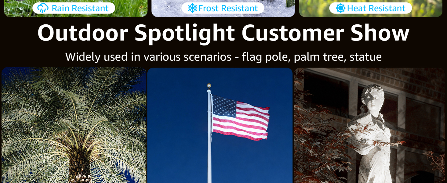 flag light