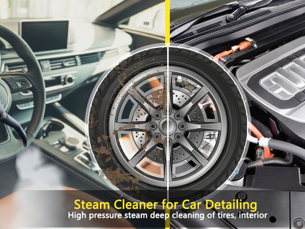 wall steam cleaner