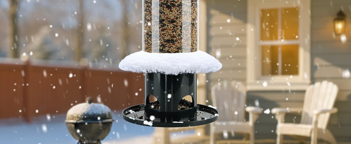 bird feeder