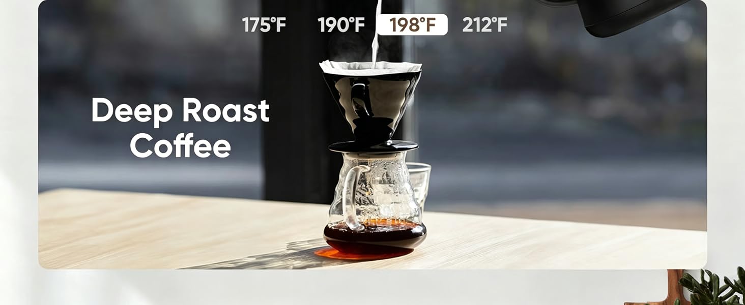 kettle; electric kettle; tea kettle; water kettle; gooseneck kettle; coffee kettle; heater kettle