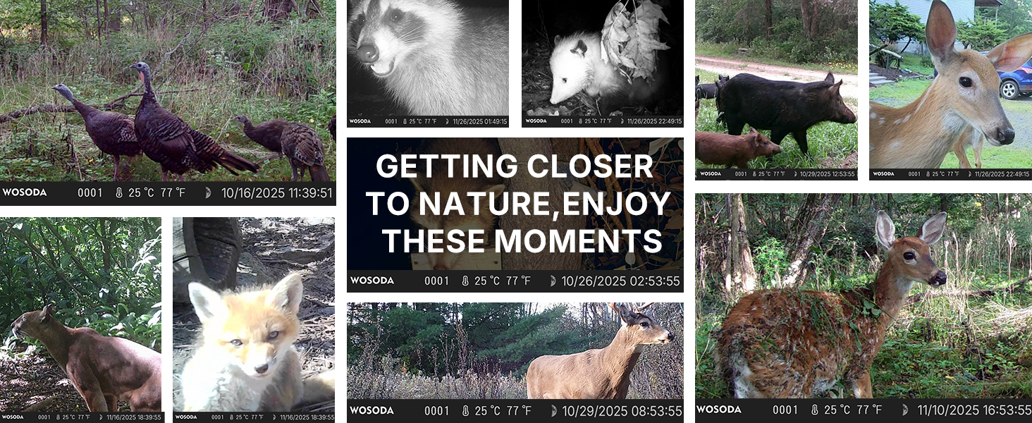 game camera trail camera trail camera with night vision trail cam wildlife camera motion activated