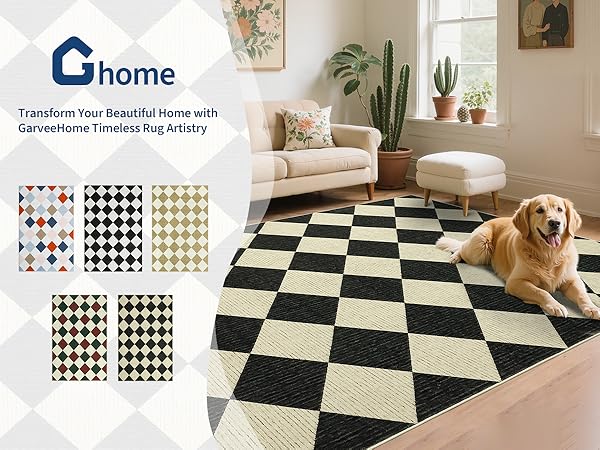 Living Room Area Rug