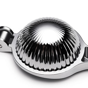 lemon squeezer juicer