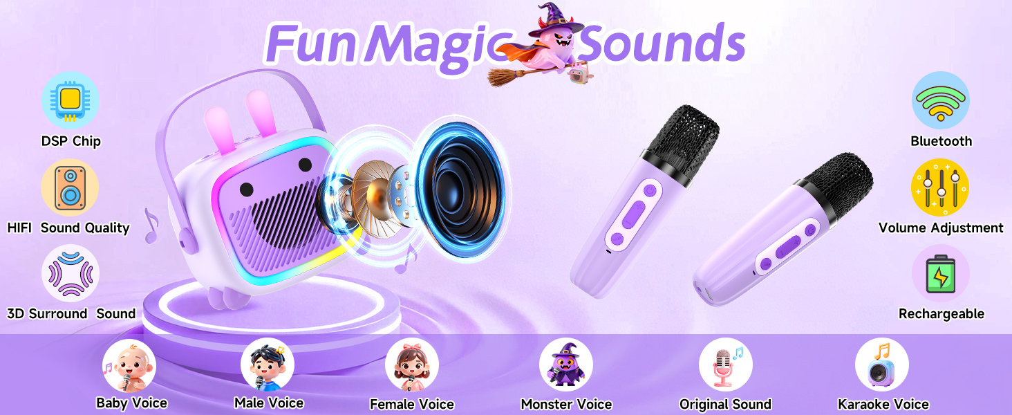 karaoke microphone