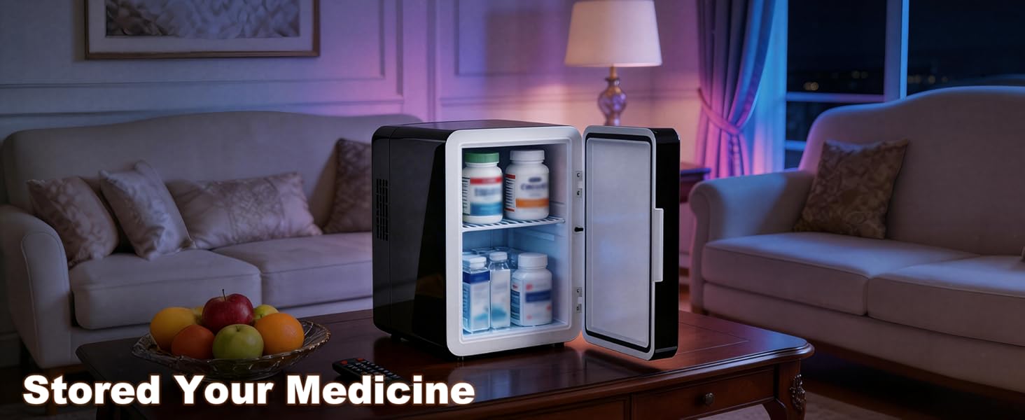 portable mini fridge