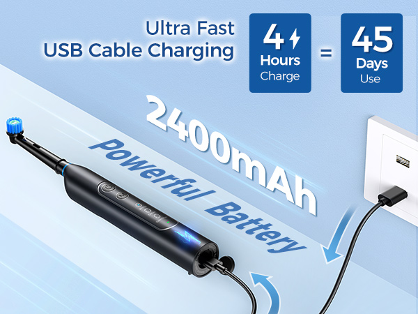 Rotating Electric Toothbrush for Adults