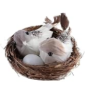 Kryoflare Artificial Bird Nest Decor Set with Birds and Eggs, DIY Craft Tree Decoration, Home Dec...