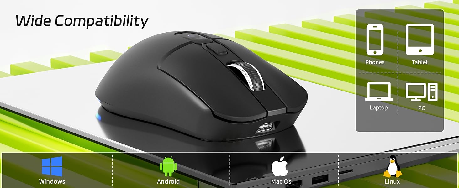 mouse
