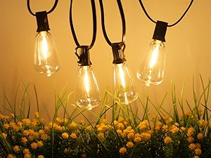 string lights with Edison bulbs