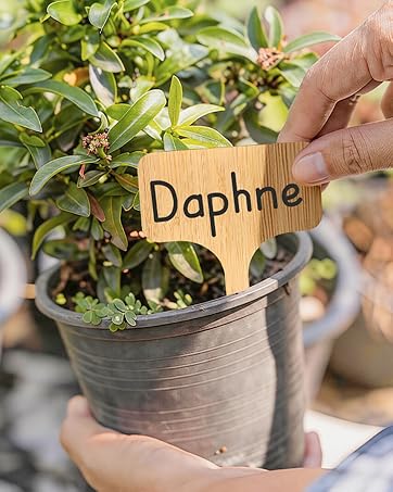 Bamboo Garden Labels