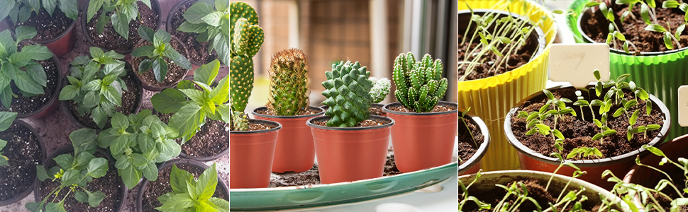 plant nursery pots