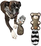 SPOT Dura-Fused Hemp Friends - Dog Toy Made with Hemp Material, Fused with Tricot for Durablity, ...